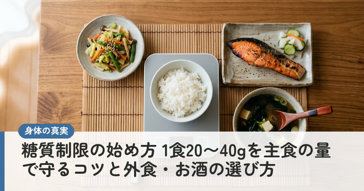 糖質制限の始め方 1食20〜40gを主食の量で守るコツと外食・お酒の選び方
